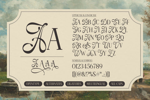 Amelissa Partis Font muhammadzeky 