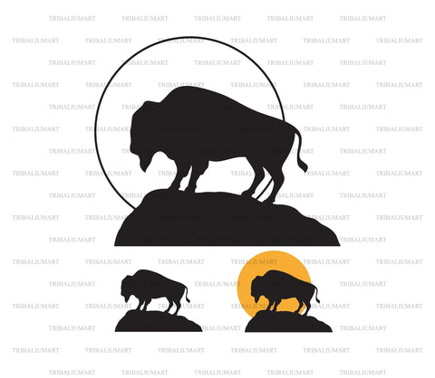 American Bison (Buffalo) at Sunset SVG TribaliumArtSF 
