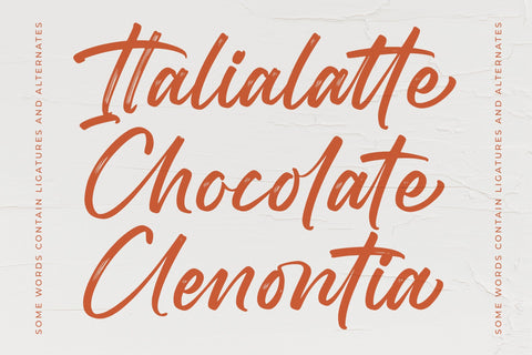 Ameya Skando - Modern Brush Font Font Letterena Studios 