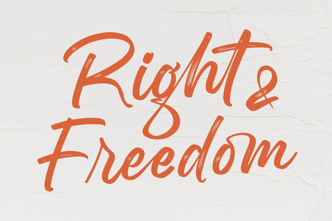 Ameya Skando - Modern Brush Font Font Letterena Studios 