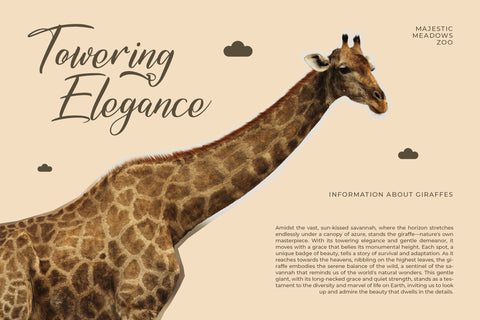 Amitesha Qowliran - Modern Handwritten Font Font Letterena Studios 