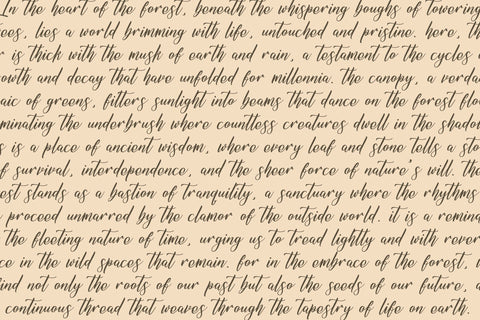 Amitesha Qowliran - Modern Handwritten Font Font Letterena Studios 