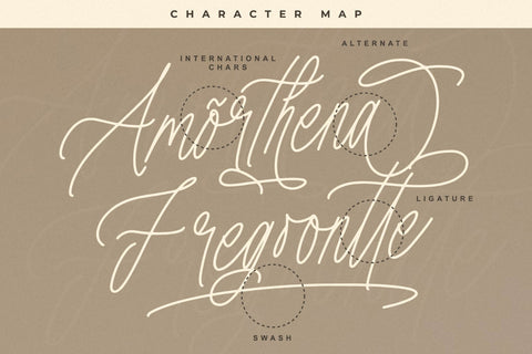 Amorthena Fregoontte - Monoline Elegant Script Font Letterena Studios 