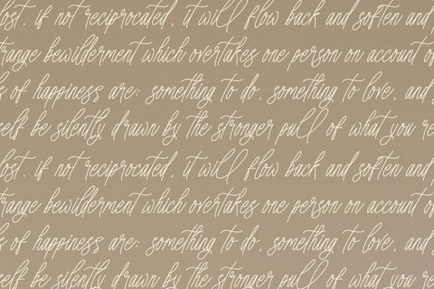 Amorthena Fregoontte - Monoline Elegant Script Font Letterena Studios 