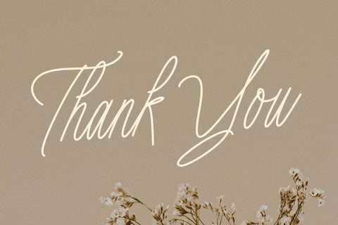 Amorthena Fregoontte - Monoline Elegant Script Font Letterena Studios 