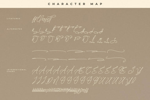 Amorthena Fregoontte - Monoline Elegant Script Font Letterena Studios 