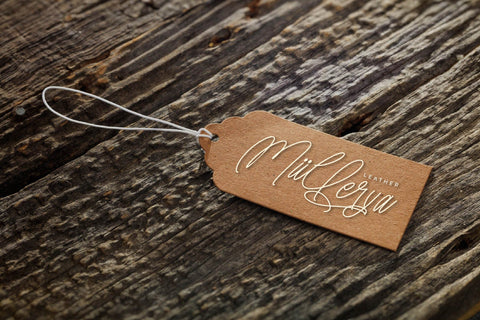 Amorthena Fregoontte - Monoline Elegant Script Font Letterena Studios 