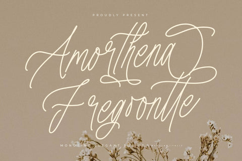 Amorthena Fregoontte - Monoline Elegant Script Font Letterena Studios 