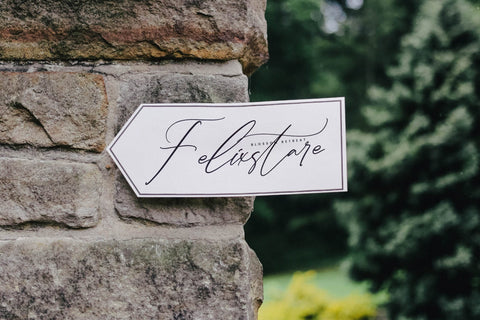 Amsterdam Fieldstar - Beautiful Script Font Font Letterena Studios 
