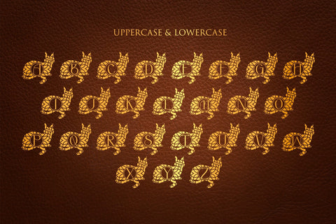 Amuse Cat Mandala Monogram Font Dm Letter Studio 