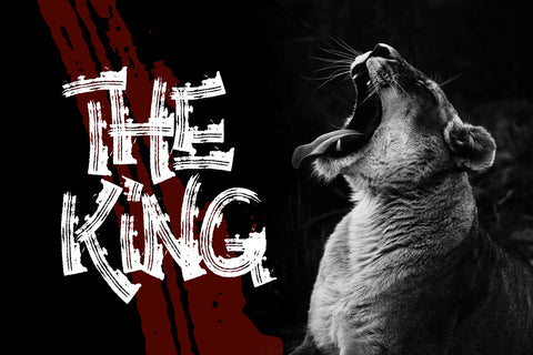 Anarchy Brothers - Strong Handrawn Brush Font Font Mozzatype 