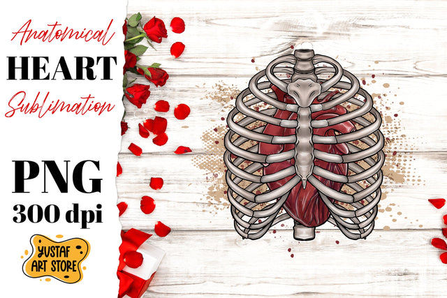 Anatomical heart sublimation. Heart in the chest PNG Sublimation Yustaf Art Store 