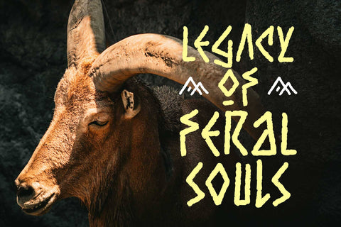 Ancient Curse – Viking Tribal Display Font Font Arterfak Project 