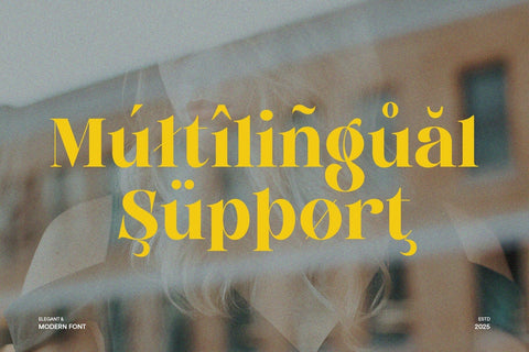 Andaluz - A Modern & Elegant Serif Font Font studioalmeera 