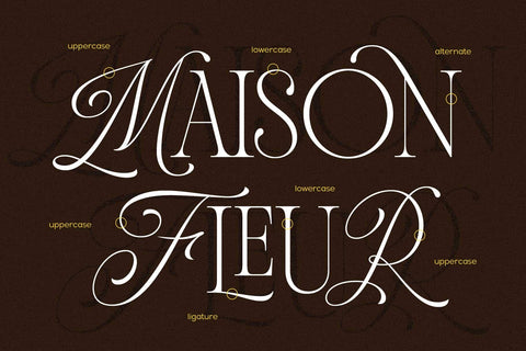 Andiena Bielsa – Hybrid Font Font Arterfak Project 