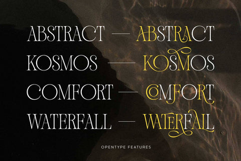 Andiena Bielsa – Hybrid Font Font Arterfak Project 