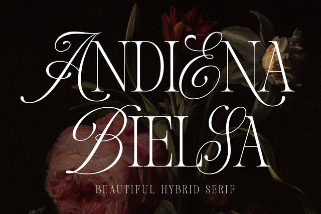 Andiena Bielsa – Hybrid Font Font Arterfak Project 