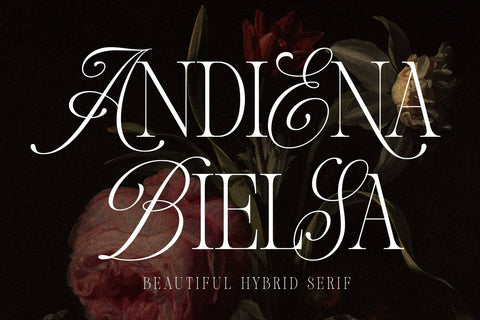 Andiena Bielsa – Hybrid Font Font Arterfak Project 