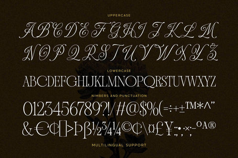 Andiena Bielsa – Hybrid Font Font Arterfak Project 