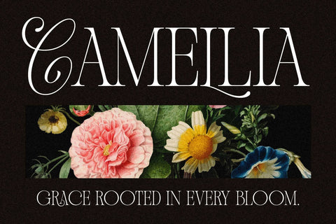 Andiena Bielsa – Hybrid Font Font Arterfak Project 