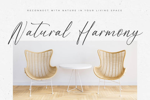 Andrea Carter - Modern Freestyle Script Font Letterena Studios 