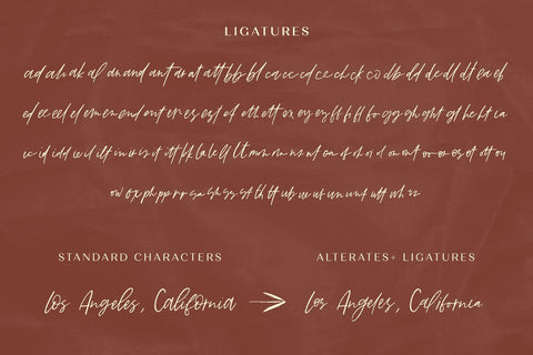 Angeleno Brush Script Font Beck McCormick 
