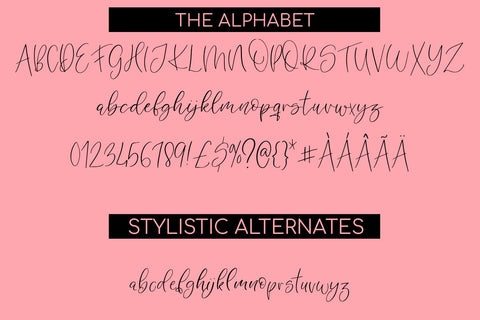 Angelina A Handwritten Script Font Font Freeling Design House 