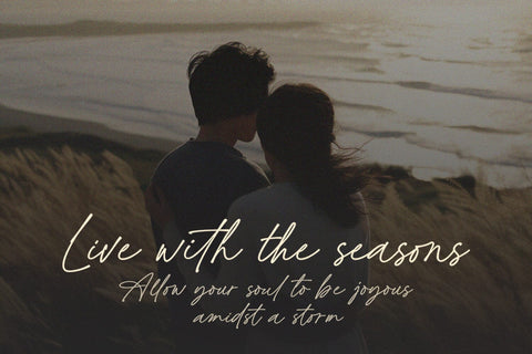 Angellica Signature - Handwritten Script Font Font Subectype Studio 