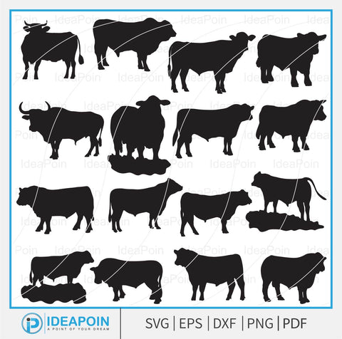 Angus Bull SVG, Show heifer, Angus Bull Vector, angus bull farm animal , Bull Silhouette, angus cattle design cricut angus SVG Dinvect 