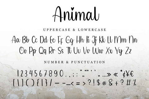 Animal Font LetterdayStudio 