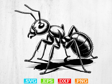 Ant Svg Bundle, Ant Drawing, Ant Vector, Ant Silhouette SVG Creativeart88 