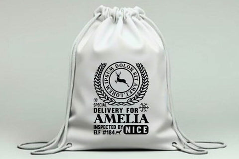 anta express north pole special delivery for Amelia inspected by elf 184 nice SVG Angelina750 