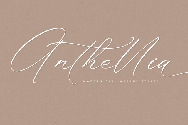 Anthellia - Modern Calligraphy Script Font Storytype Studio 