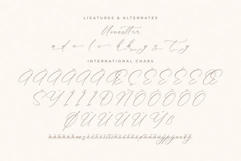 Anthellia - Modern Calligraphy Script Font Storytype Studio 