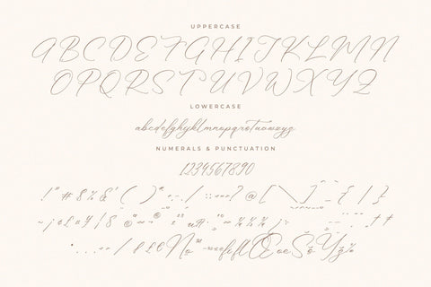 Anthellia - Modern Calligraphy Script Font Storytype Studio 