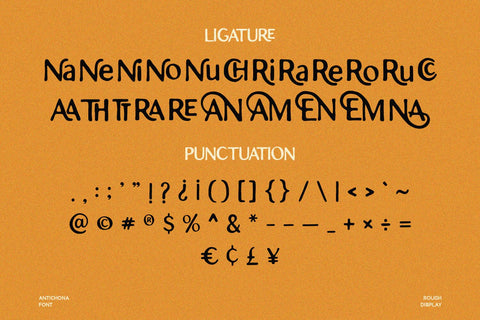 Antichona - Rough Sans Font Font Alpaprana Studio 