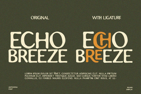 Antichona - Rough Sans Font Font Alpaprana Studio 