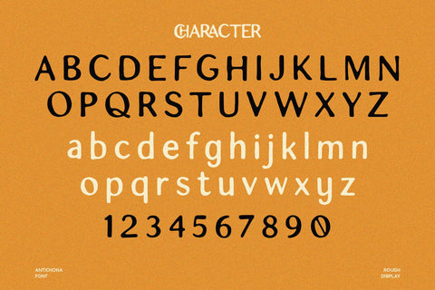 Antichona - Rough Sans Font Font Alpaprana Studio 