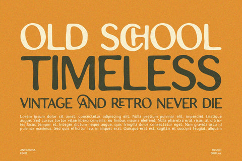 Antichona - Rough Sans Font Font Alpaprana Studio 