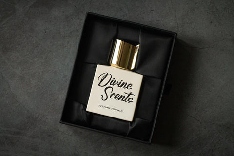 Antofiek Qordampi - Modern Bold Font Font Letterena Studios 