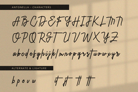 Antonella - Handwritten Font Font Alpaprana Studio 