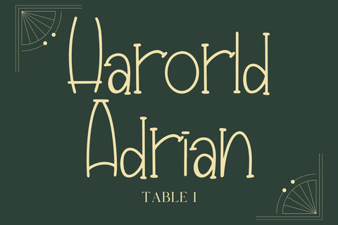 Anya Slab Font Dm Letter Studio 