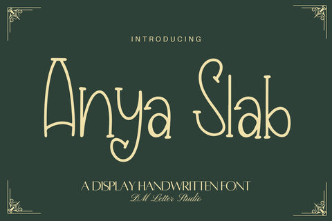 Anya Slab Font Dm Letter Studio 