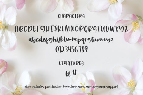 Apple Blossom Script Font Beck McCormick 