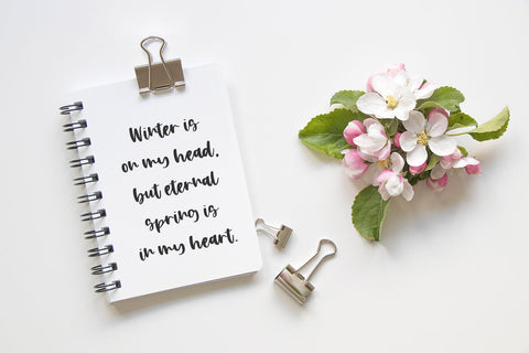 Apple Blossom Script Font Beck McCormick 