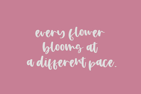Apple Blossom Script Font Beck McCormick 