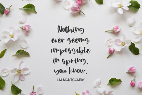 Apple Blossom Script Font Beck McCormick 
