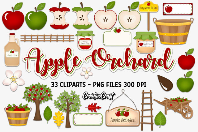 Apple Fruit Clipart Illustration Sublimation CreativeCraftShop 
