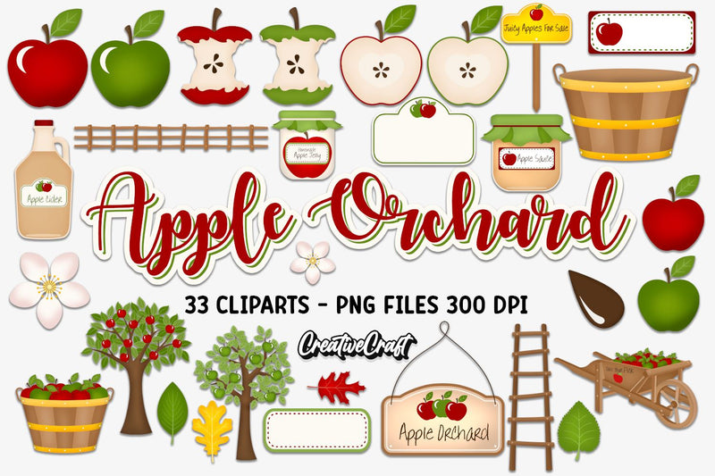 Apple Fruit Clipart Illustration Sublimation CreativeCraftShop 