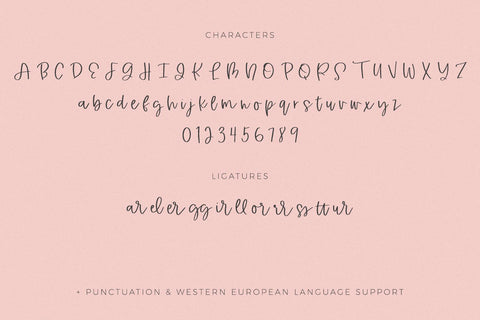 Apricity Script Font Beck McCormick 